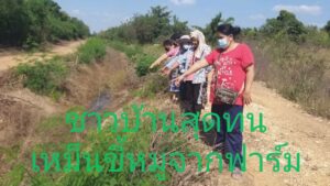 ชาวบ้านสุดทนเหม็นขี้หมู