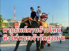 เริ่มแล้วอย่างยิ่งใหญ่งานประเพณีตากธัมม์ ตานข้าวใหม่ หิงไฟพระเจ้า วัดสูงเม่น