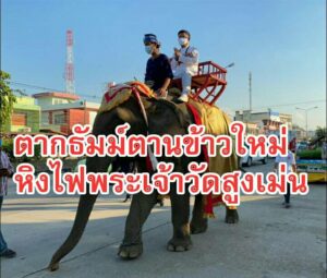 เริ่มแล้วอย่างยิ่งใหญ่งานประเพณีตากธัมม์ ตานข้าวใหม่ หิงไฟพระเจ้า วัดสูงเม่น