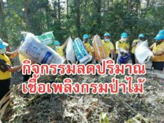 สจป.3สาขาแพร่รวมพลังสามัคคี ศปม.แพร่จัดกิจกรรมลดปริมาณเชื้อเพลิงกรมป่าไม้ ประจำปีงบประมาณ 2564 ณ สวนป่าแม่พวก