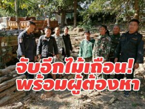 สจป.3สาขาแพร่ ร่วมศปม.แพร่ ผู้ใหญ่บ้านจับกุม ลักลอบตัดไม้ได้ผู้ต้องหาพร้อมเลื่อยโซ่