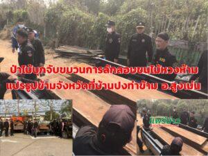(มีคลิป)ป่าไม้บุกจับกุมขบวนการลักลอบขนไม้หวงห้ามแปรรูปข้ามจังหวัดที่บ้านปงท่าข้าม อ.สูงเม่น