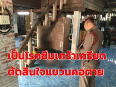 พ่อบ้านป่าแมตเป็นโรคซึมเศร้า!เครียดญาติๆจะพาไปรักษาที่ร.พ.เชียงใหม่ตัดสินใจแขวนคอตาย