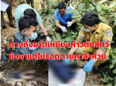 (มีคลิป)ดวงถึงฆาต!เหยียบโดนห้าวดักสัตว์ยิงขาแต่ไม่รอดตายคาลำห้วย