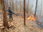 (มีคลิป)ระดมกำลังดับไฟป่าในเขตอุทยานแห่งชาติเวียงโกศัย มีไฟไหม้ป่าเกิดขึ้น จำนวน 4 จุด