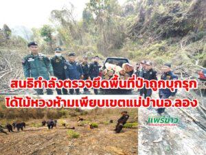 (มีคลิป)เจ้าหน้าที่ป่าสนธิกำลังตรวจยึดพื้นที่ป่าถูกบุกรุกป่าแม่หลู้ตะวันออกม.7ต.แม่ปานอ.ลองตรวจยึดคืนผืนป่าและไม้หวงห้าม