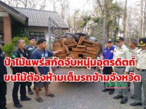 (มีคลิป)เจ้าหน้าที่ป่าไม้ใน จ.แพร่หลายหน่วยงานดักรวบหนุ่มอุตรดิตถ์ลักลอบขนไม้เถื่อนจากลำปางผ่านแพร่