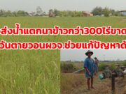 (มีคลิป)ท่อส่งน้ำพลังไฟฟ้าแตกทำให้นาข้าวกว่า 300 ไร่ ที่บ้านดอนแก้ว อำเภอสูงเม่น ขาดน้ำรอวันแห้งตาย