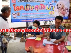 (มีคลิป)เทศบาลเมืองแพร่ออกให้บริการฉีดวัคซีนป้องกันโรคพิษสุนัขบ้าและคุมกำเนิดสัตว์เลี้ยงฟรี