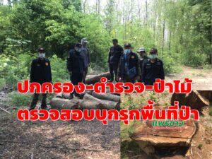 ปกครองตำบลบ้านถิ่น ร่วมตำรวจ ป่าไม้ช่อแฮ ตรวจสอบบุกรุกพื้นที่ป่า ทุบเตาเผาถ่านตามหาตัวคนทำผิด
