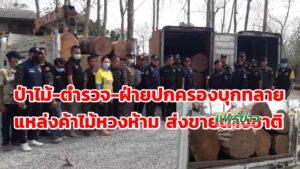 (มีคลิป)ป่าไม้-ตำรวจ-ฝ่ายปกครองบุกทลายแหล่งค้าไม้หวงห้ามส่งขายต่างชาติ