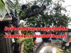 (มีคลิป)รับจ้างตัดต้นมะขามถูกกิ่งที่ตัดหล่นทับหัวคาง่ามเสียชีวิตคาที่