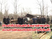 (มีคลิป)เจ้าหน้าที่ป่าไม้สนธิกำลังหลายฝ่ายบุกจับขบวนการลักลอบตัดไม้ห่วงห้ามที่เวียงต้า