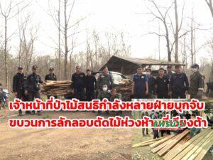 (มีคลิป)เจ้าหน้าที่ป่าไม้สนธิกำลังหลายฝ่ายบุกจับขบวนการลักลอบตัดไม้ห่วงห้ามที่เวียงต้า