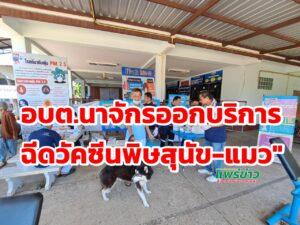 อบต.นาจักรจัดโครงการสัตว์ปลอดโรค คนปลอดภัยจากโรคพิษสุนัขบ้า ประจำปีงบประมาณ พ.ศ.2564