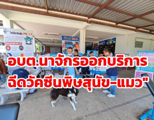 อบต.นาจักรจัดโครงการสัตว์ปลอดโรค คนปลอดภัยจากโรคพิษสุนัขบ้า ประจำปีงบประมาณ พ.ศ.2564