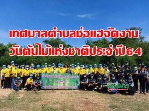 เทศบาลตำบลช่อแฮจัดงานวันต้นไม้แห่งชาติประจำปี64