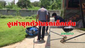 (มีคลิป)ช่วงนี้ฝนตกชุกงูเห่าเข้าบ้านแอบซุกตัวในรถเด็กเล่น