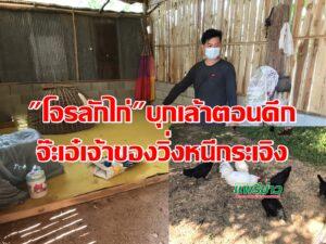 (มีคลิป)โจรลักไก่บุกเล้าตอนดึกจ๊ะเอ๋เจ้าของเจอไล่ทุบวิ่งหนีกระเจิง