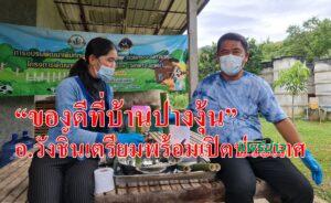 (มีคลิป)“ของดีที่บ้านปางงุ้น”อ.วังชิ้นเตรียมพร้อมเปิดประเทศ
