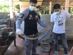 (มีคลิป)งูเห่าเข้าบ้านวันพระเชื่อมาให้โชค