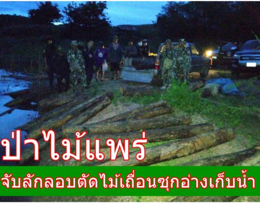 ป่าไม้แพร่บุกจับลักลอบตัดไม้เถื่อนซุกอ่างเก็บน้ำ