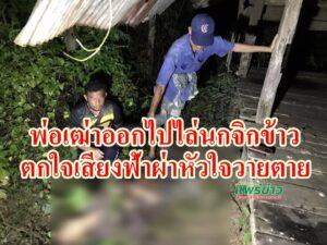 (มีคลิป)พ่อเฒ่าบ้านดอนแท่นออกไปไล่นกที่จิกข้าวในนา ตกใจเสียงฟ้าผ่าหัวใจวายตาย