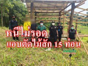 หนีไม่รอดป่าไม้แพร่รวบสองผู้ต้องหาพร้อมไม้สัก 15 ท่อน