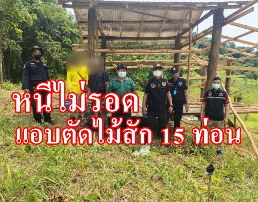 หนีไม่รอดป่าไม้แพร่รวบสองผู้ต้องหาพร้อมไม้สัก 15 ท่อน