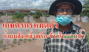 พิษพายุทำแม่ยมล้นตลิ่งพริก-ข้าวโพดจมน้ำเกษตรกรหมดตัว