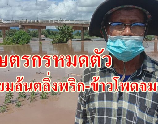 พิษพายุทำแม่ยมล้นตลิ่งพริก-ข้าวโพดจมน้ำเกษตรกรหมดตัว
