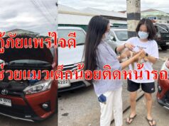 กู้ภัยแพร่ใจดีช่วยแมวเด็กน้อยติดหน้ารถ