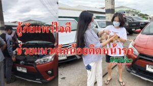 กู้ภัยแพร่ใจดีช่วยแมวเด็กน้อยติดหน้ารถ