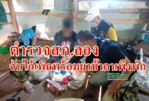 (มีคลิป)จับหนุ่มค้ายาใช้เพิงในป่าเป็นที่พักได้พร้อมยาบ้า-ปืน