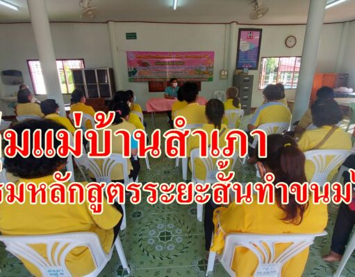 ศูนย์การเรียนรู้การพัฒนาสตรีครอบครัวจัดฝึกอบรมอาชีพหลักสูตรระยะสั้นทำขนมไทยให้กลุ่มแม่บ้านสำเภา