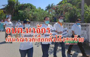 อบต.นาจักรเดินรณรงค์เลือกตั้งโค้งสุดท้าย