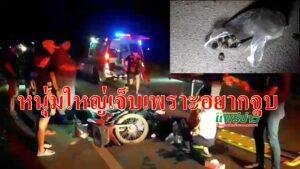 หนุ่มใหญ่ไปงมหอยขม(หอยจูบ)ไม่ทันได้ทำกินรถแฉลบเจ็บสาหัส