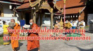 (มีคลิป)วัดสูงเม่นหนึ่งในโลกตักบาตรธรรมถวายเสือเมตตาธัมม์ต้อนรับปีขาล(เสือ)
