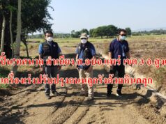 สจ.ปิ้น!ทศนาถ สำเนียง ส.อบจ.แพร่ เขต 3 อ.สูงเม่น เดินเครื่องเร่งปรับปรุงถนนลูกรังด้วยหินคลุก