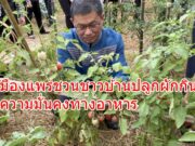 พ่อเมืองชวนชาวบ้านปลูกผักกินเองเพื่อความมั่นคงทางอาหาร