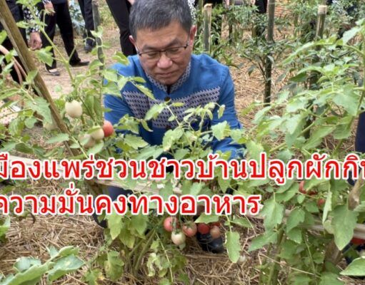 พ่อเมืองชวนชาวบ้านปลูกผักกินเองเพื่อความมั่นคงทางอาหาร