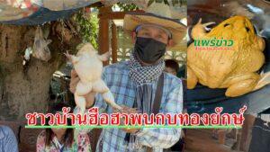 (มีคลิป) หนุ่มใหญ่ไถ่ชีวิตกบทองยักษ์หลังถูกโฉลกกับกบถูกหวย 27 งวดติดต่อกัน