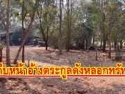 (มีคลิป) คืบหน้าอ้างตระกูลดังหลอกทรัพย์