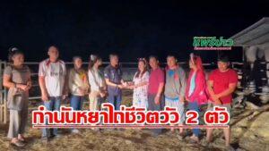 (มีคลิป) กำนันหยา ตำบลแม่จั๊วะ นำทีม ไถ่ชีวิตโคกระบือ 2 ตัว ที่โรงฆ่าสัตว์ ต.เหมืองหม้อ