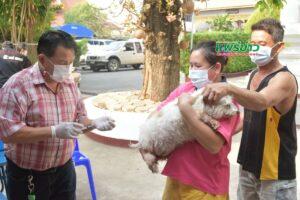 เทศบาลเมืองแพร่ ให้บริการฉีดวัคซีนโรคพิษสุนัขบ้าและยาคุมกำเนิดสัตว์เลี้ยงแก่ชุมชนชัยมงคล