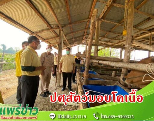ปศุสัตว์ จ.แพร่ มอบโคเนื้อ ตามโครงการประชารัฐพัฒนาอาชีพการเลี้ยงโคเนื้อ ภายใต้โครงการธนาคารโค-กระบือเพื่อเกษตรกรตามพระราชดำริ