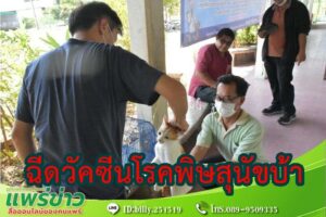 เทศบาลเมืองแพร่ ออกให้บริการฉีดวัคซีนโรคพิษสุนัขบ้าและยาคุมกำเนิดสัตว์เลี้ยงแก่ชุมชนน้ำคือ