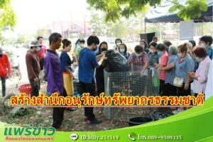 สร้างจิตสำนึกอนุรักษ์ทรัพยากรธรรมชาติและสิ่งแวดล้อมในเขตเทศบาลเมืองแพร่