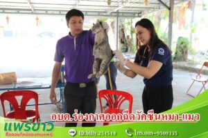 นายกสมคิด สั่งการกองสาธารณสุขอบต.ร่องกาศออกฉีดวัคซีนหมา-แมว