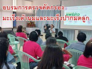 เทศบาลเมืองแพร่ จัดการฝึกอบรมการตรวจคัดกรองมะเร็งเต้านมและมะเร็งปากมดลูก